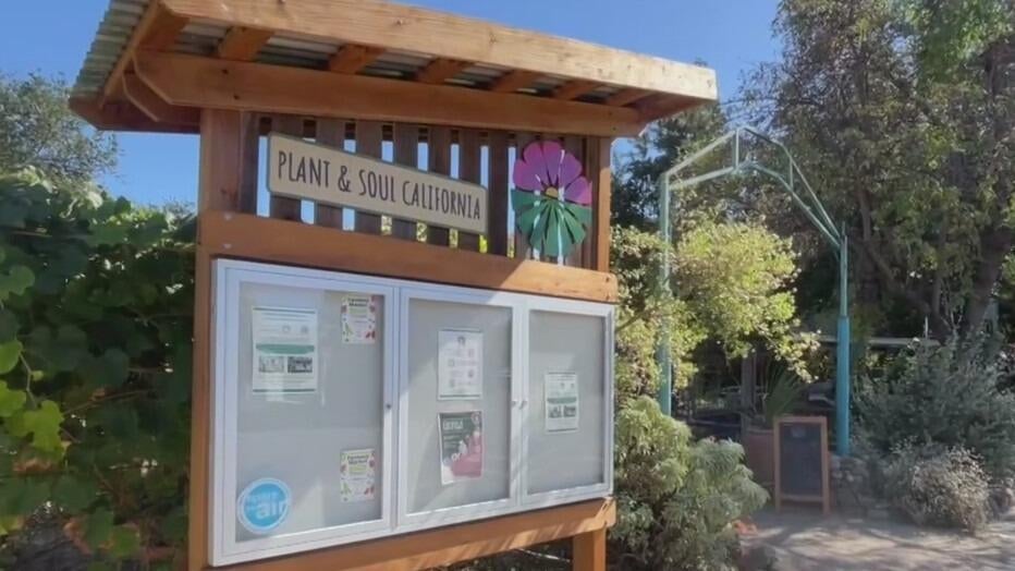 San Jose community garden told to leave as land is sold to developer — CBS Bay Area (KPIX), San Mateo Real Estate news