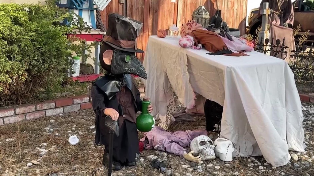Halloween decorations worth roughly $700 stolen from San Leandro home — CBS Bay Area (KPIX), San Mateo Schools news