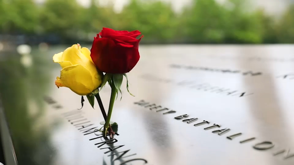 Second 9/11 victim identified with breakthrough genetic genealogy, NYC officials say
       — ABC 7 Bay Area, San Mateo Community news