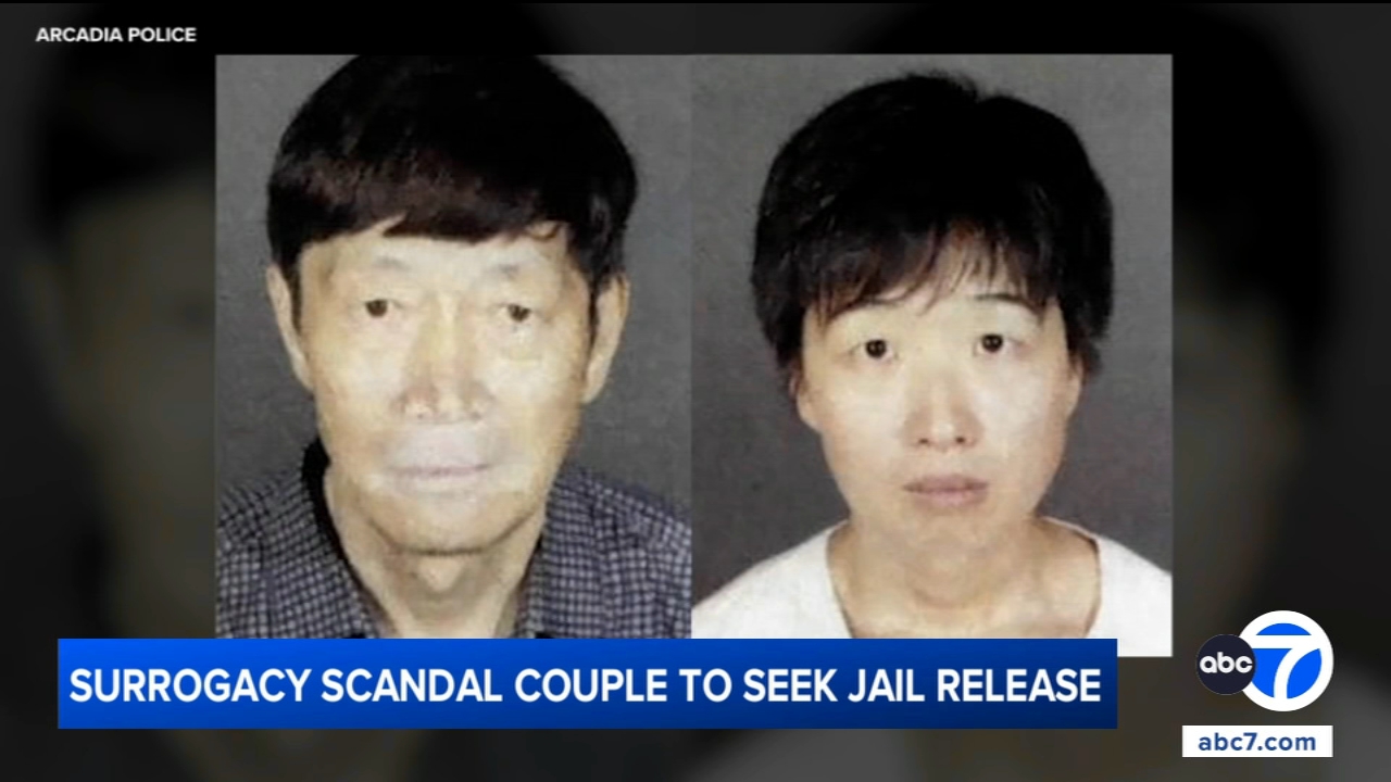 California couple accused in surrogacy scandal to seek release from jail, attorneys say
       — ABC 7 Bay Area, San Mateo Community news