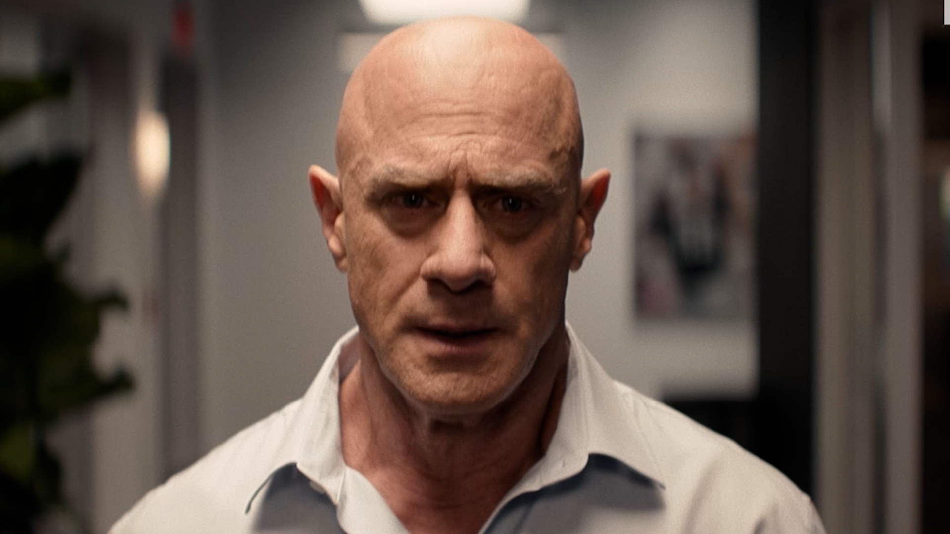 Christopher Meloni, William H. Macy talk football, family in 'The Land' trailer
— ABC 7 Bay Area