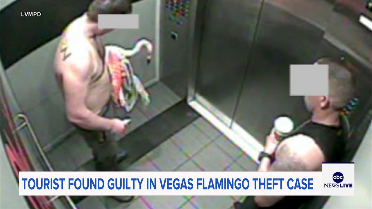 Man who snatched Peachy the flamingo from Las Vegas hotel exhibit found guilty of animal cruelty
— ABC 7 Bay Area, San Mateo Arts news