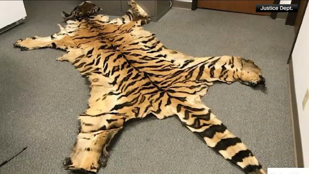 California couple pleads guilty to trafficking wildlife
— San Mateo Community news