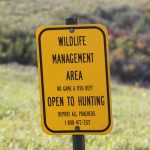 Pointers for Public Land Hunting — NewsDakota, San Mateo Sports news