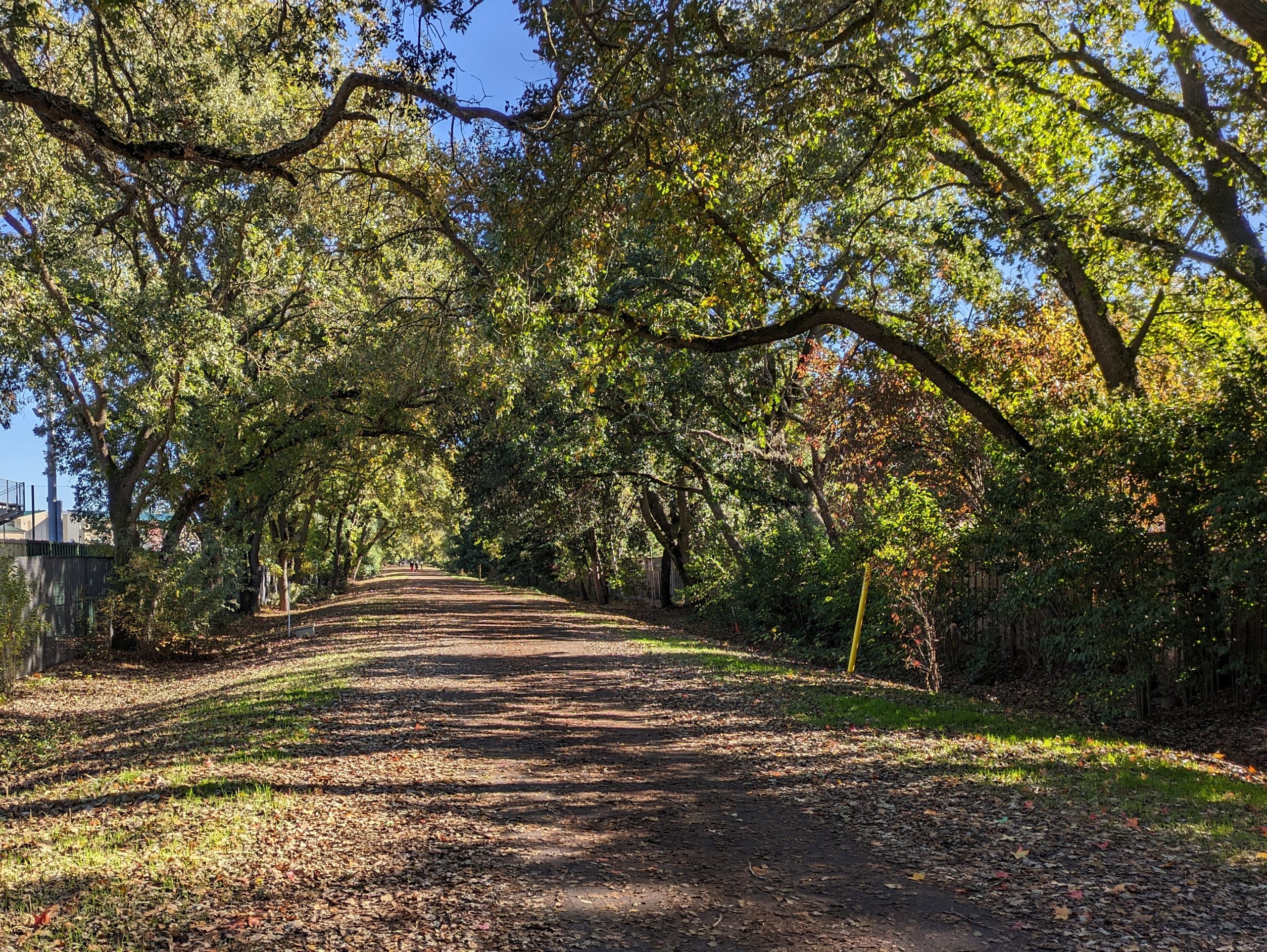 E-bikes have been allowed on East Bay trails for three years. How’s it going? — The Oaklandside, San Mateo Community news