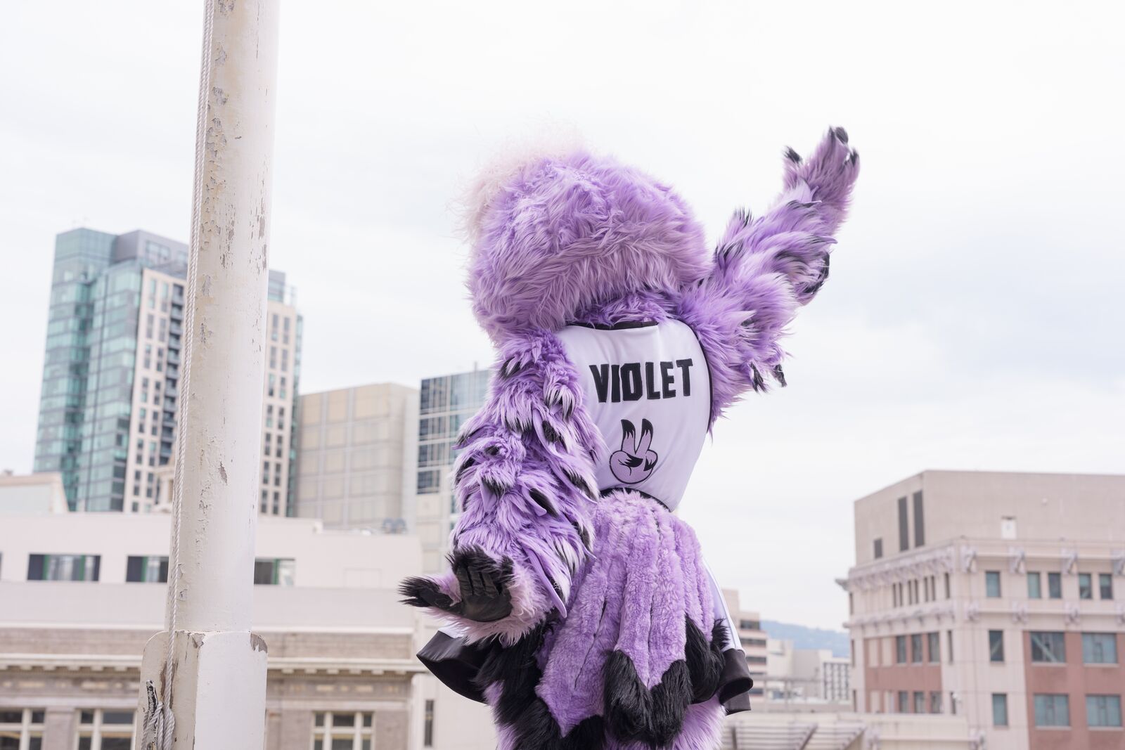 This week in Oakland: an outdoor Valkyries watch party, and singersongwriter Laura Anglade at Yoshi’s — The Oaklandside, San Mateo Arts news