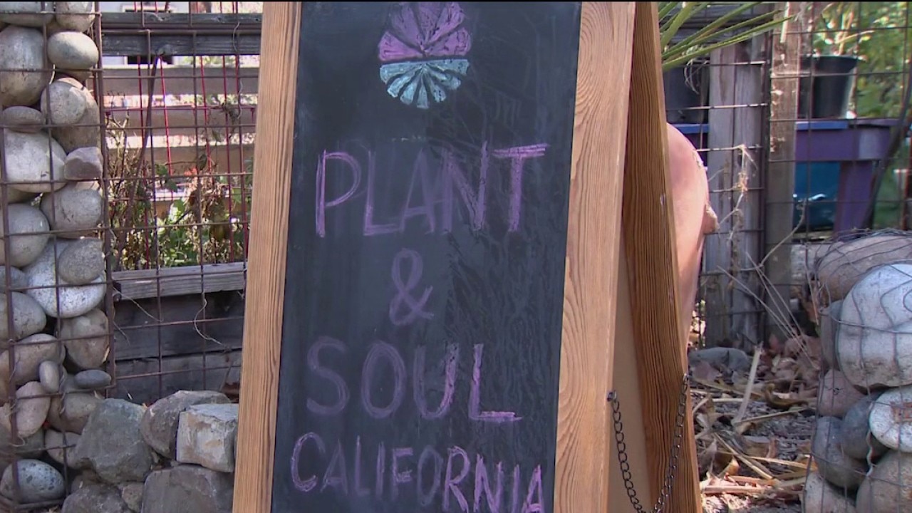San Jose community garden faces possible eviction — KTVU FOX 2 Bay Area, San Mateo Schools news