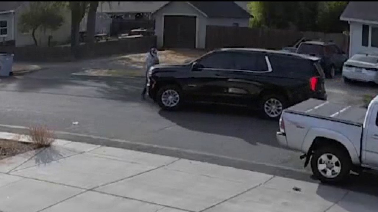 Pedestrian hit by federal immigration agent's vehicle in Yolo County — KTVU FOX 2 Bay Area, San Mateo Community news