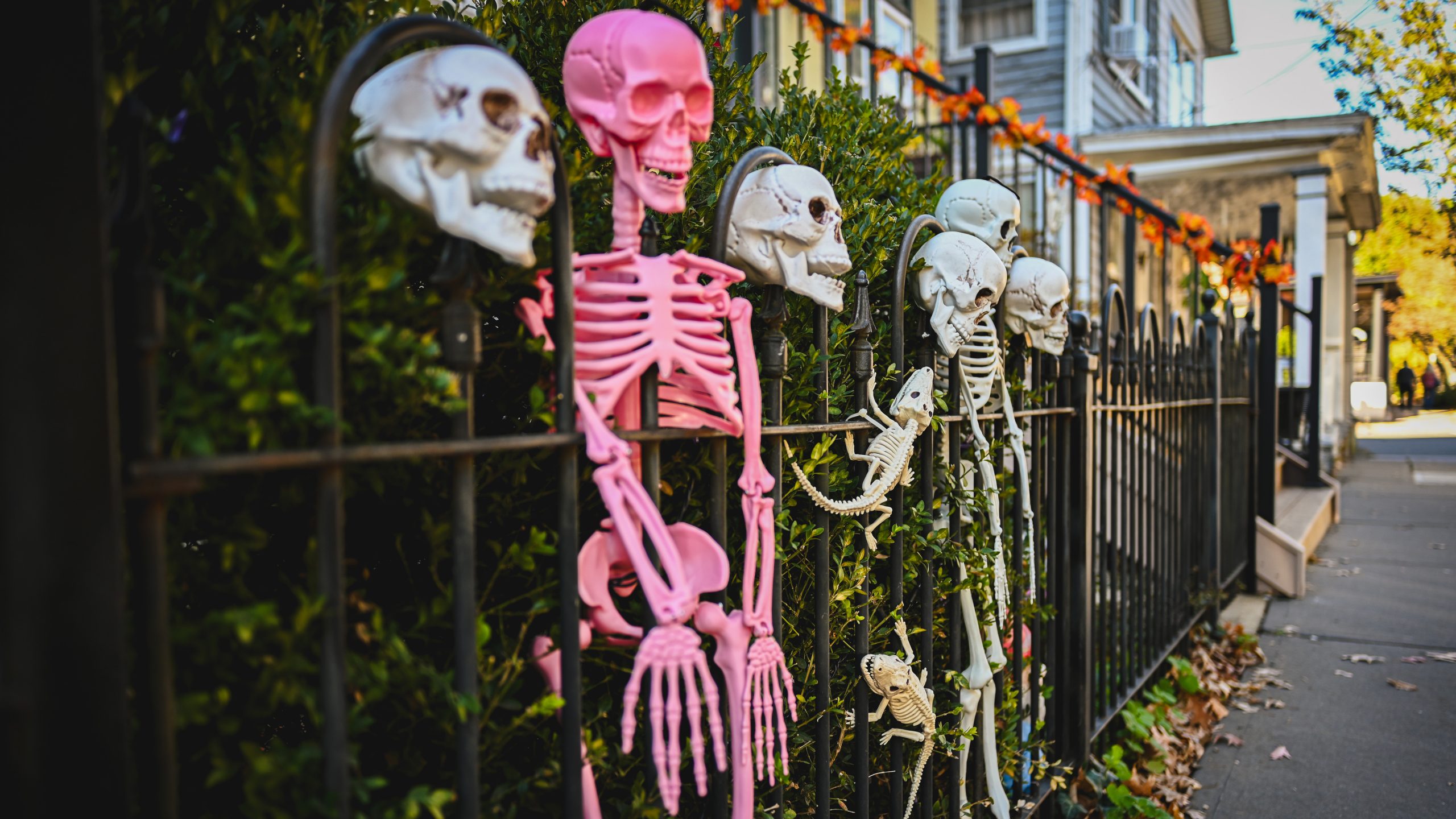 America's best cities for Halloween, ranked — KTVU FOX 2 Bay Area, San Mateo Community news